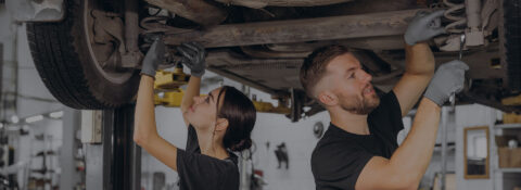 Qualität, Vertrauen und Leidenschaft